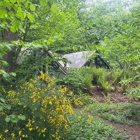 Chalet Scandinave Avec Sauna Ir - In The Woods Gesves Εξωτερικό φωτογραφία