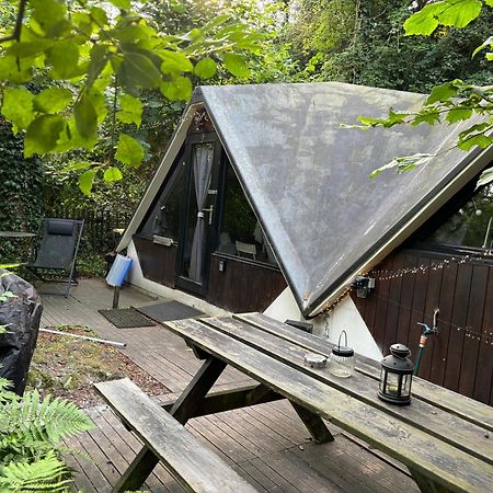 Chalet Scandinave Avec Sauna Ir - In The Woods Gesves Εξωτερικό φωτογραφία
