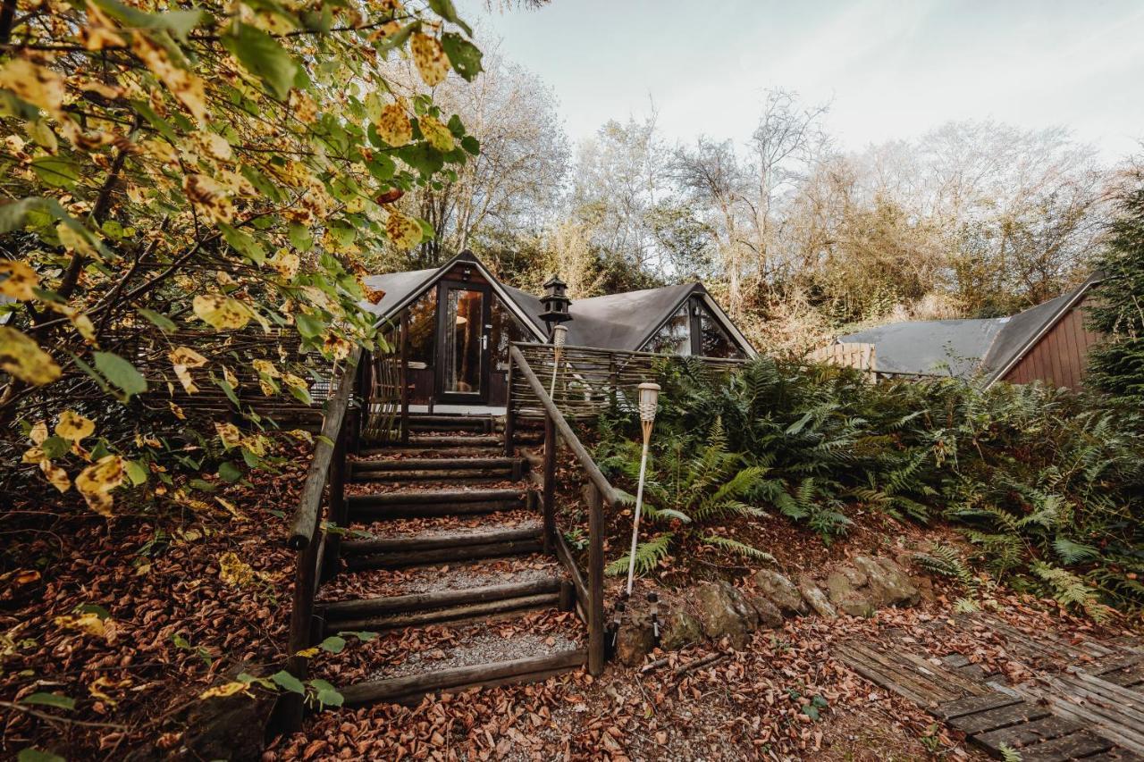 Chalet Scandinave Avec Sauna Ir - In The Woods Gesves Εξωτερικό φωτογραφία
